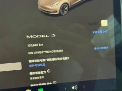 Tesla Model 3 Rear-Wheel Drive - ფოტო 19