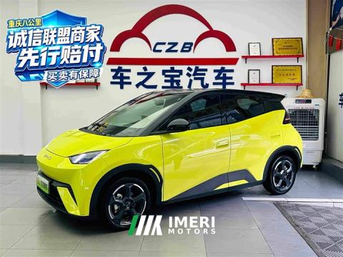 2024 BYD Seagull Freedom Edition