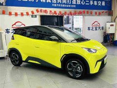 BYD Seagull 2023 Freedom Edition - ფოტო 4
