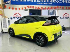 BYD Seagull 2023 Freedom Edition - ფოტო 8
