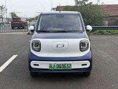 FAW Besturn Xiaoma 222km Linglong Edition - ფოტო 1