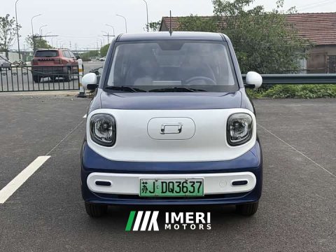 2025 FAW Besturn Xiaoma 222km Linglong Edition - ავტომობილი ჩინეთიდან