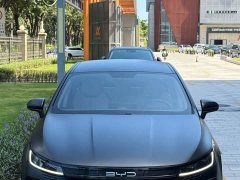 BYD Destroyer 05 Glory Edition DM-i 55KM Luxury - ფოტო 2