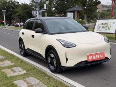 Geely Xing Yuan 310km Dream Edition - ფოტო 3