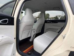 Geely Xing Yuan 310km Dream Edition - ფოტო 6