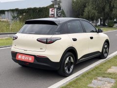 Geely Xing Yuan 310km Dream Edition - ფოტო 9