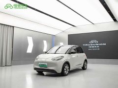 Wuling Binguo 333km Joy Edition - ფოტო 1