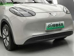 Wuling Binguo 333km Joy Edition - ფოტო 6