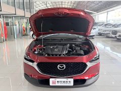 Mazda CX-30 2.0L Automatic Elegance - ფოტო 14