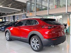 Mazda CX-30 2.0L Automatic Elegance - ფოტო 15