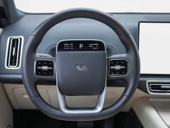 Li Auto L9 Pro - ფოტო 10