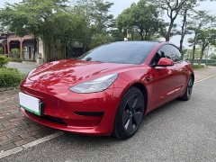 Tesla Model 3 Standard Range RWD Upgrade - ფოტო 1