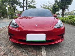 Tesla Model 3 Standard Range RWD Upgrade - ფოტო 2