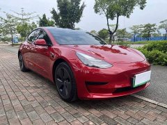 Tesla Model 3 Standard Range RWD Upgrade - ფოტო 3