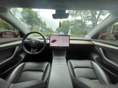 Tesla Model 3 Standard Range RWD Upgrade - ფოტო 6