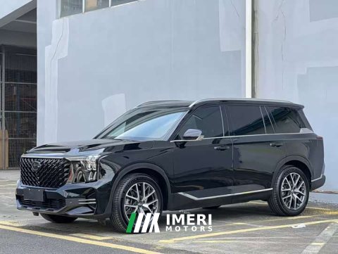 2024 GAC Aion GS8 2025 Pioneer Series 2.0T GDI FWD Luxury 5-Seater - ავტომობილი ჩინეთიდან