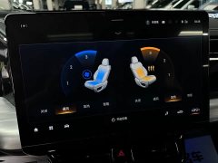 GAC Aion GS8 Dual Engine 2.0T M Two-Wheel Drive Luxury Edition (7-Seater) - ფოტო 17