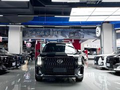 GAC Aion GS8 Dual Engine 2.0T M Two-Wheel Drive Luxury Edition (7-Seater) - ფოტო 4
