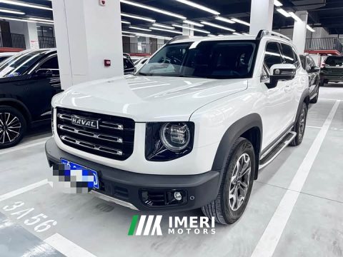2021 Great Wall Dachshund 2022 2.0T DCT Four-Wheel Drive Chinese Rural Dog Edition - ავტომობილი ჩინეთიდან