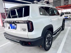 Great Wall Dachshund 2022 2.0T DCT Four-Wheel Drive Chinese Rural Dog Edition - ფოტო 16