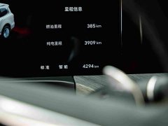 Tank 500 New Energy 2026 Hi4-T Smart Comfort Edition - ფოტო 10