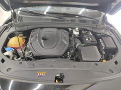 Geely Xingrui 2.0T Diesel Flagship - ფოტო 10