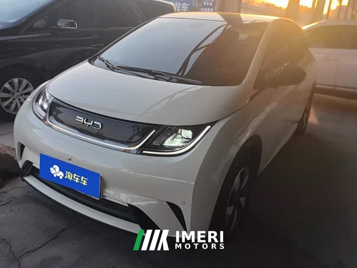 BYD Dolphin Glory Edition 420km Fashion Version - ავტომობილი ჩინეთიდან