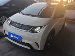 BYD Dolphin Glory Edition 420km Fashion Version - ფოტო 1