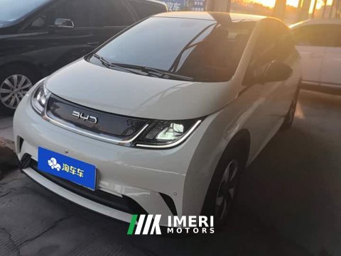 2024 BYD Dolphin Glory Edition 420km Fashion Version - car from China