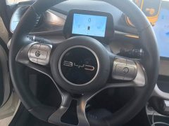 BYD Dolphin Glory Edition 420km Fashion Version - ფოტო 15