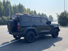Tank 300 Off-Road Edition 2.0T Conqueror - ფოტო 11