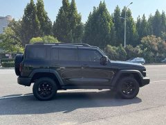 Tank 300 Off-Road Edition 2.0T Conqueror - ფოტო 6