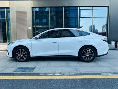 BYD Seal 06 2024 DM-i 120KM Honor Edition - ფოტო 4