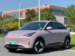 Geely Xing Yuan 310km Dream Edition - ფოტო 1
