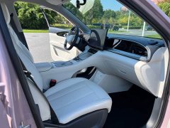Geely Xing Yuan 310km Dream Edition - ფოტო 13