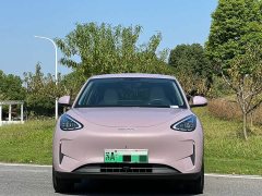 Geely Xing Yuan 310km Dream Edition - ფოტო 2