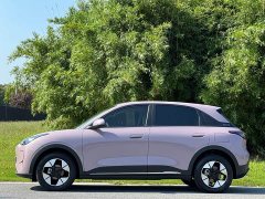 Geely Xing Yuan 310km Dream Edition - ფოტო 4