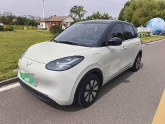 Wuling Binguo 333km Joy Edition - ფოტო 1