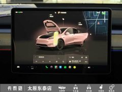 Tesla Model Y Performance All-Wheel Drive - ფოტო 13