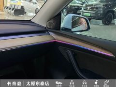 Tesla Model Y Performance All-Wheel Drive - ფოტო 17