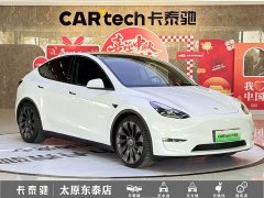 Tesla Model Y Performance All-Wheel Drive - ფოტო 3