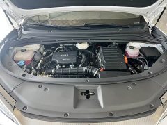 BYD Song L DM-i Smart Drive 112km Exceed - ფოტო 18