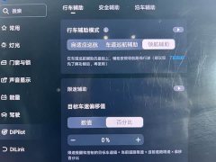BYD Song L DM-i Smart Drive 112km Exceed - ფოტო 9