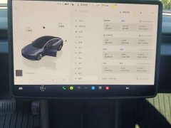 Tesla Model 3 2023 Rear-Wheel Drive - ფოტო 6