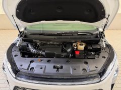 Buick GL8 Luzun Respect Edition - ფოტო 11