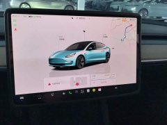 Tesla Model 3 2022 Rear-Wheel Drive - ფოტო 13