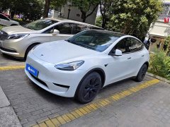 Tesla Model Y Rear-Wheel Drive - ფოტო 1