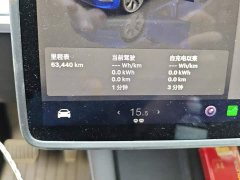Tesla Model Y Rear-Wheel Drive - ფოტო 14