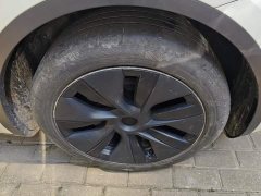 Tesla Model Y Rear-Wheel Drive - ფოტო 6