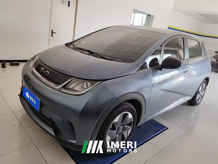BYD Dolphin 420km Freedom Edition - ავტომობილი ჩინეთიდან